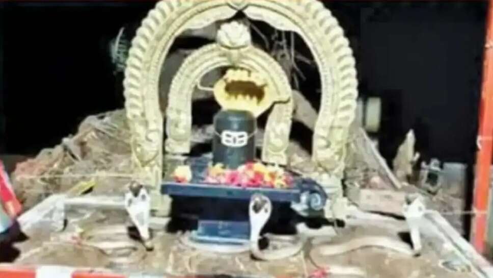 Nellore temple 3 cobras posing in front of shivlingam!