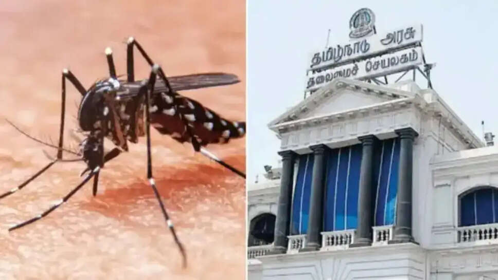 Dengue fever attack to 27year old man was died 